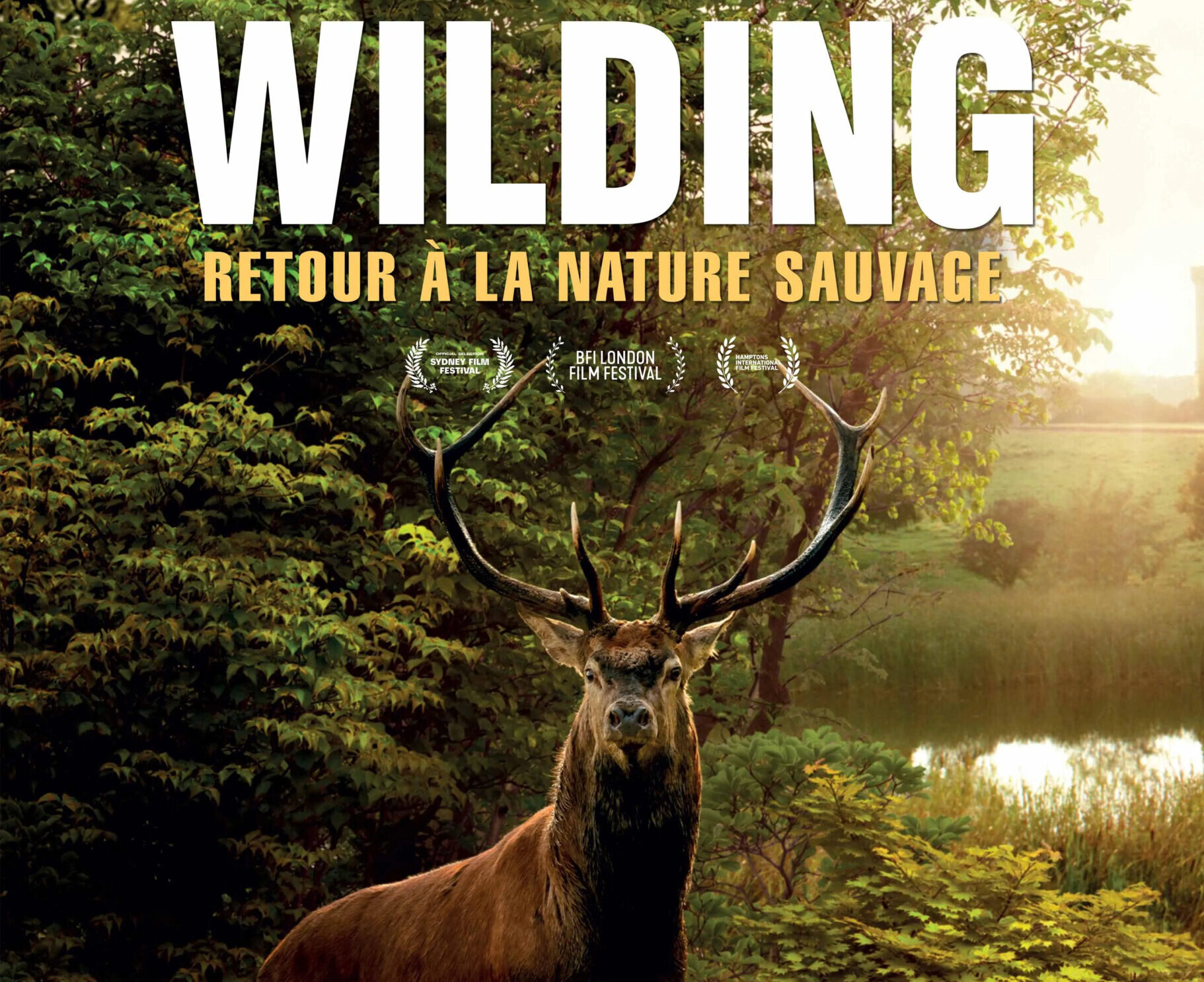 Ciné Métamorphose – « WILDING, retour à la nature sauvage »