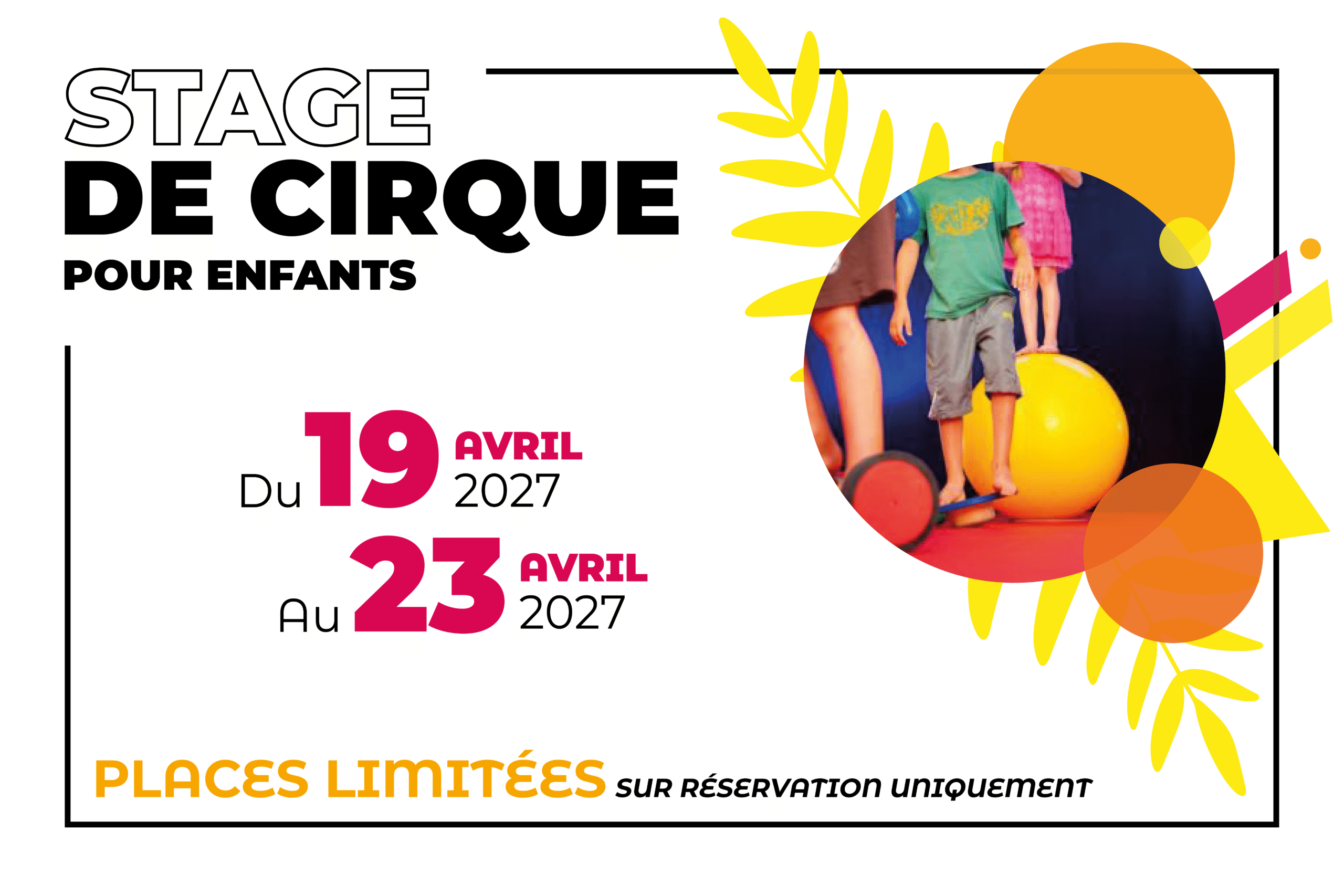 Stage de cirque