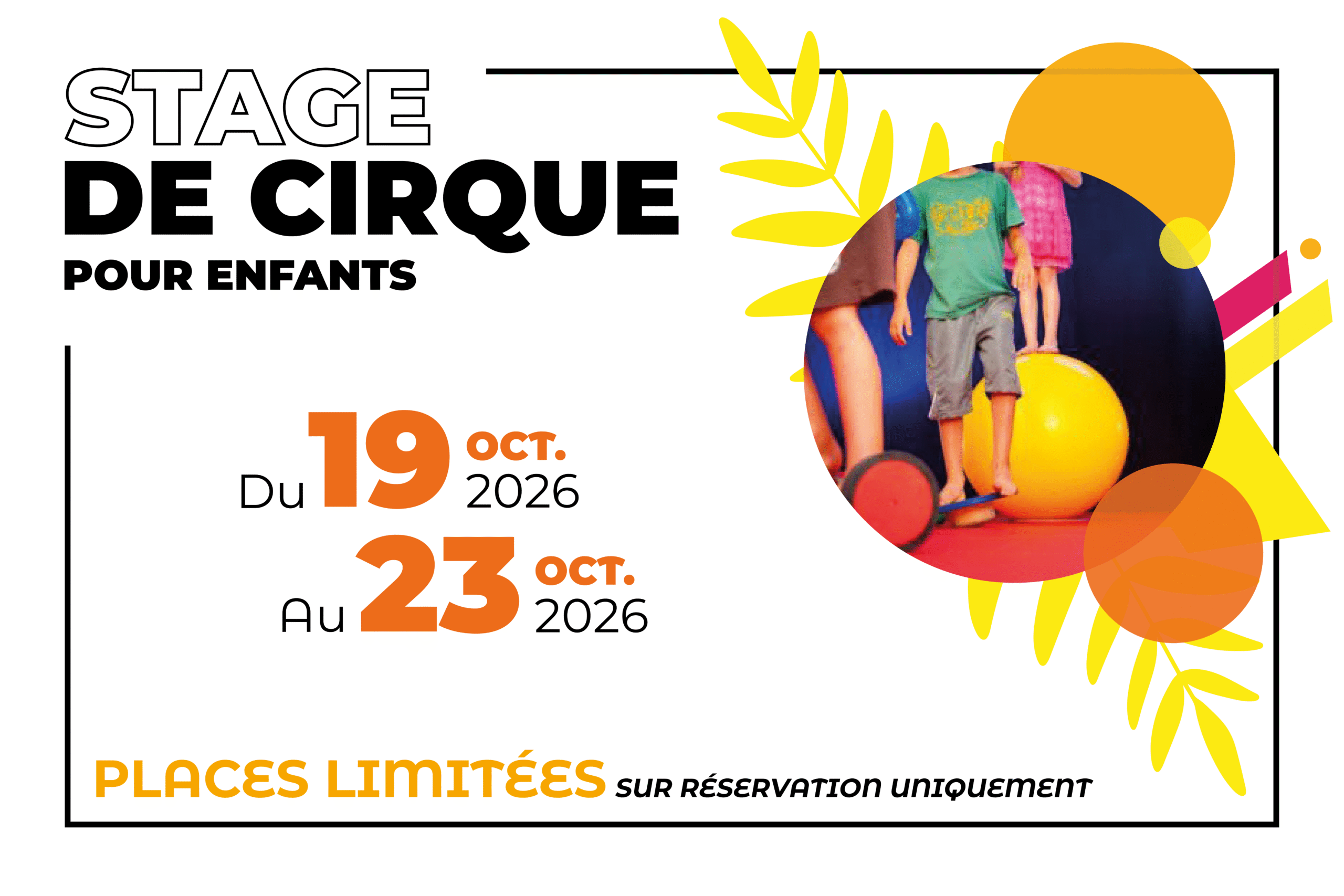 Stage de cirque